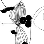 linhas-01.jpg