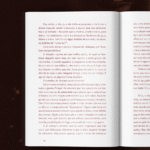 site_livro_aberto_meio1.png