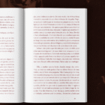 site_livro_aberto_meio2.png