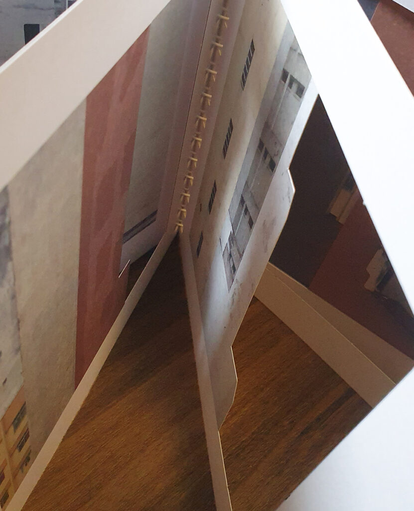 livro editora incompleta letícia lampert