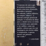 livro letícia lampert práticas para destrinchar a cidade
