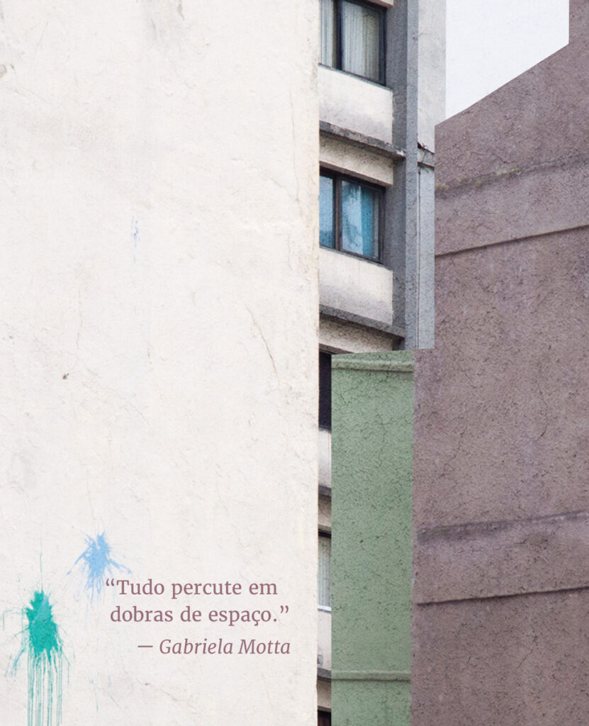 livro letícia lampert práticas para destrinchar a cidade