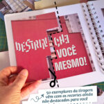 Letícia Lampert livro