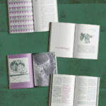 Paginas-Miolo-Punado-8
