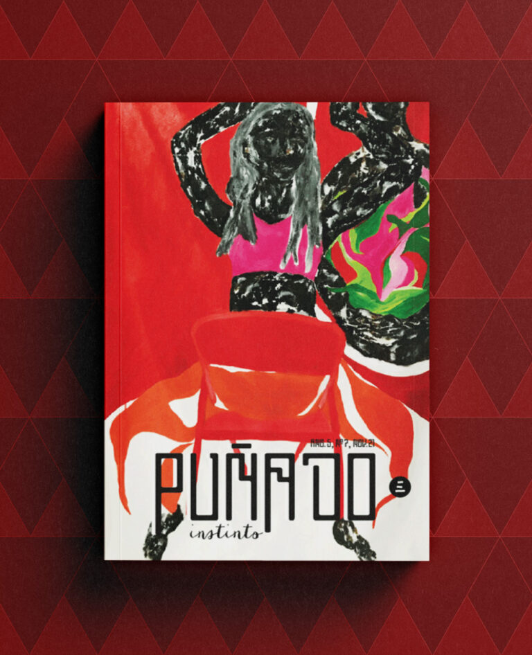 Capa Puñado 7 Literatura Latino-Americana