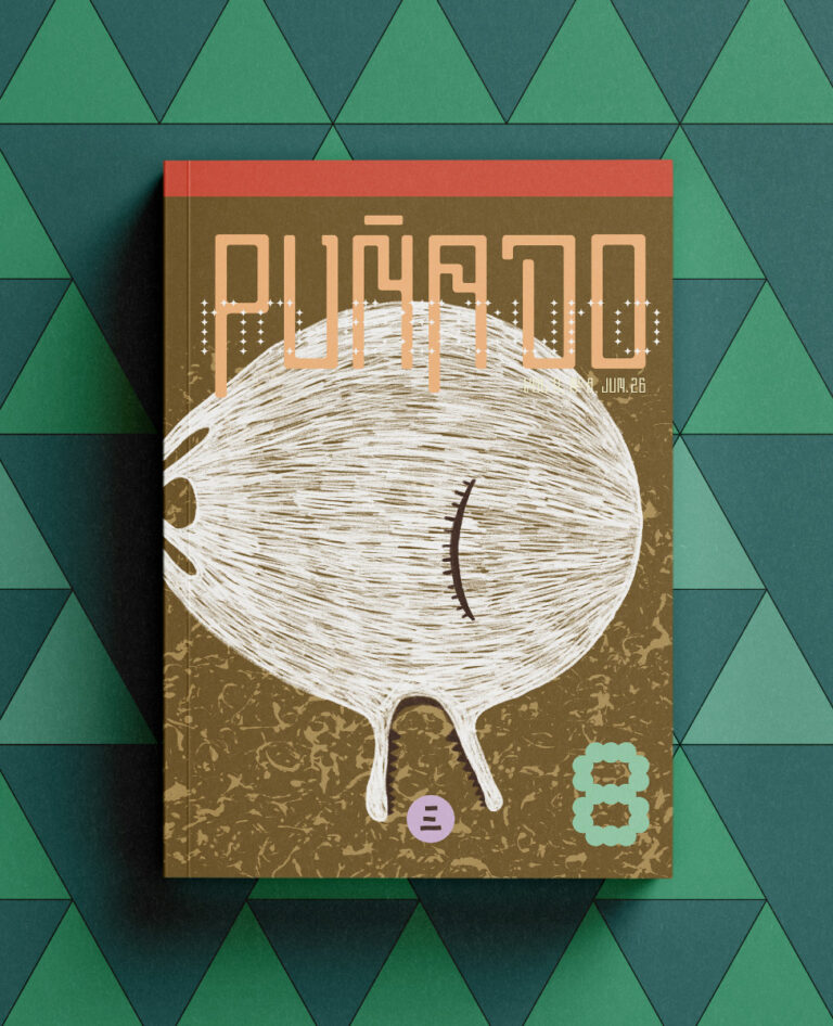 Capa Puñado 8 Literatura Latino-Americana
