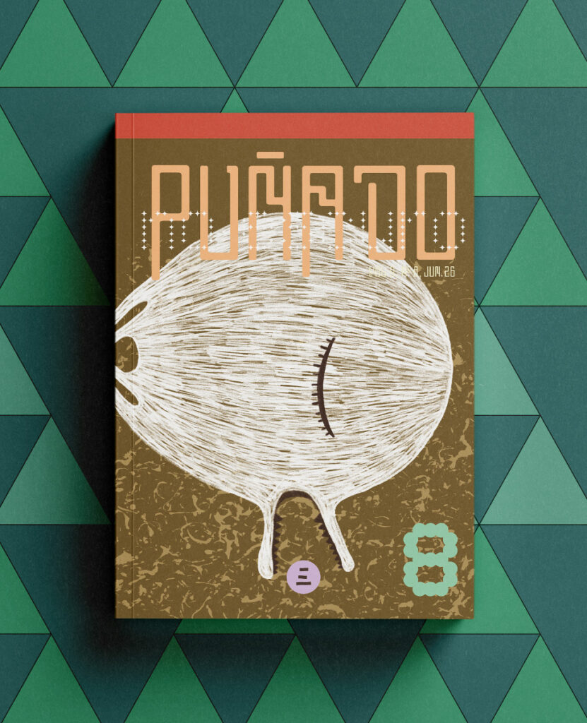Capa Puñado 8 Literatura Latino-Americana